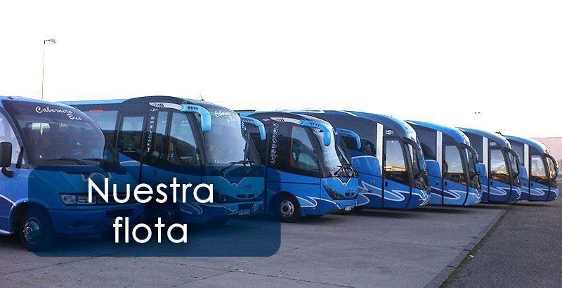 Flota Cabornero Bus