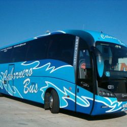 Cabornero bus 15