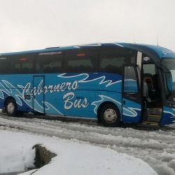 Cabornero bus 9