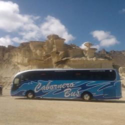 Cabornero bus 10