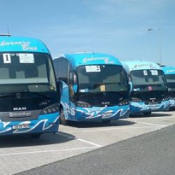 Cabornero bus 6