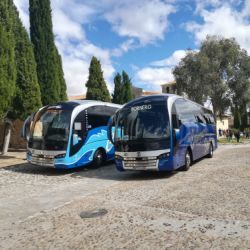 cabornero bus 31